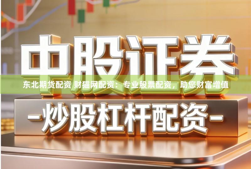 东北期货配资 财猫网配资：专业股票配资，助您财富增值