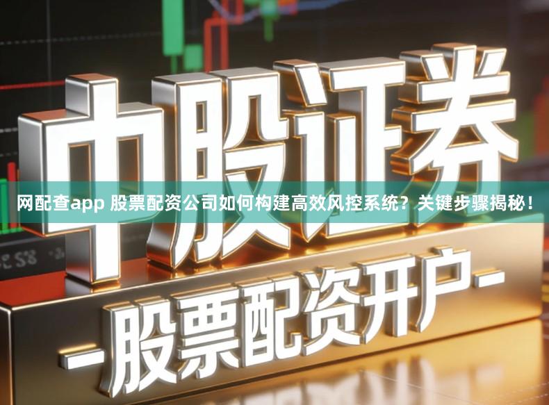 网配查app 股票配资公司如何构建高效风控系统？关键步骤揭秘！