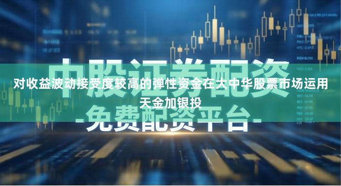 对收益波动接受度较高的弹性资金在大中华股票市场运用天金加银投